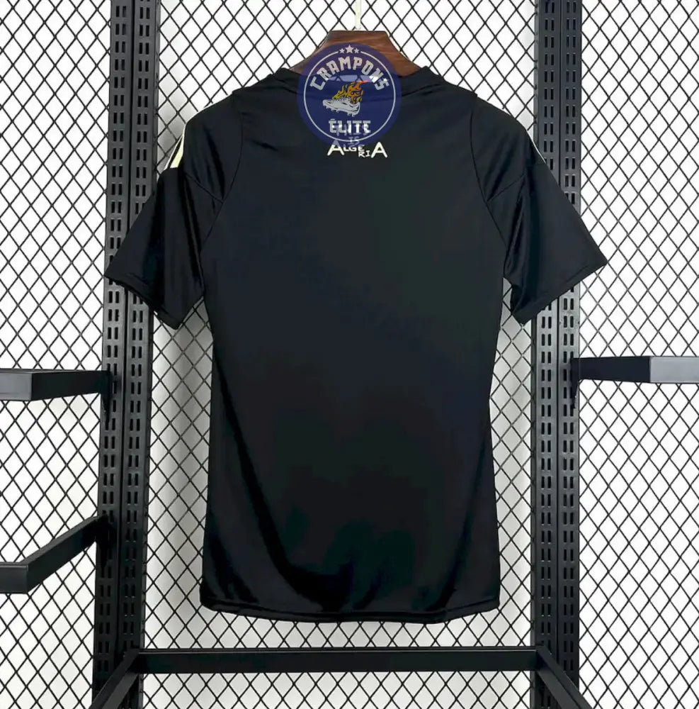 Algérie 2025 Concept