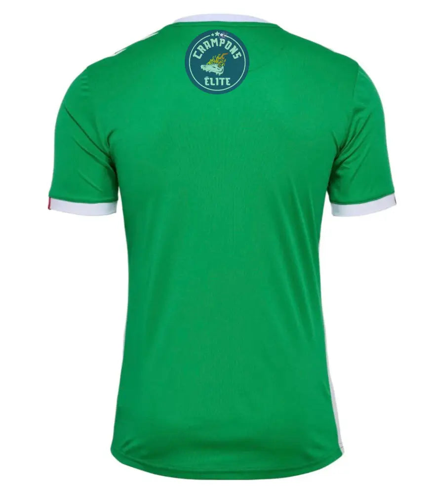 Image of ASSE 2024/25 Domicile