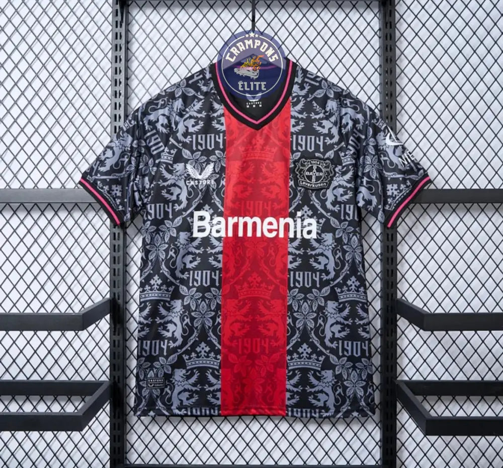 Bayer Leverkusen 2024/25 Concept