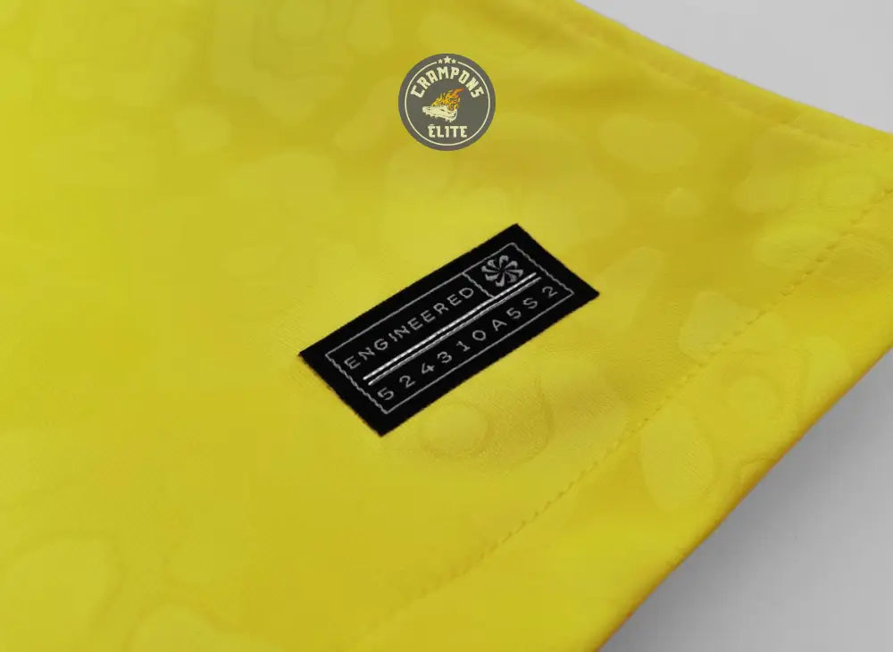 Image of Brésil 2022 Domicile