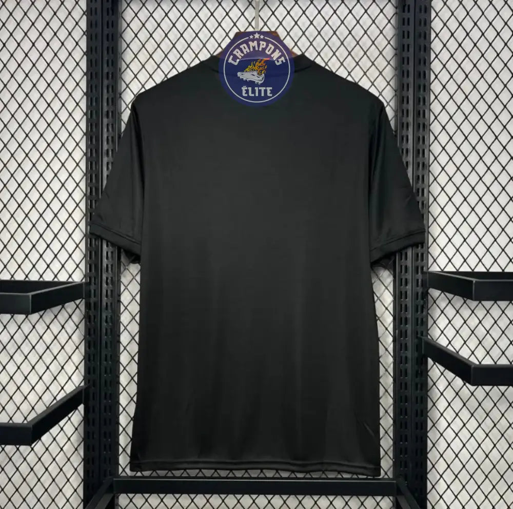 Brésil 2024 Concept