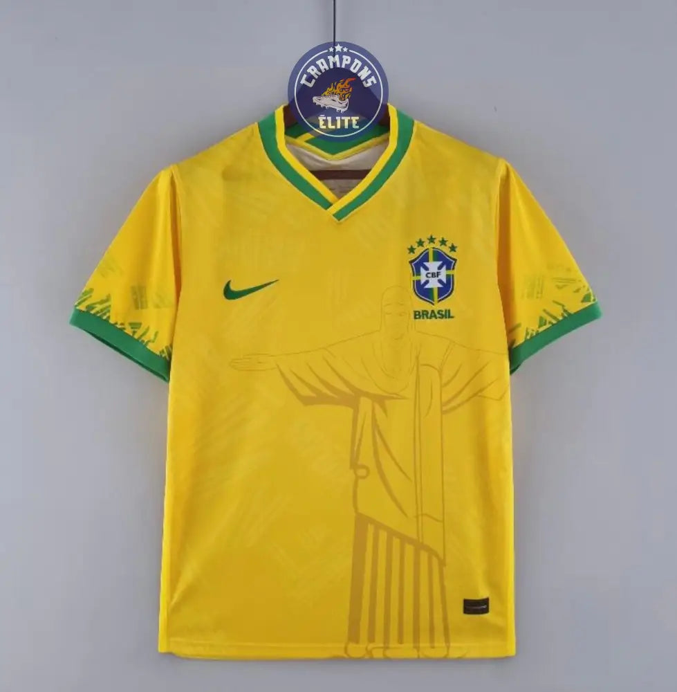 Brésil 2024 Concept