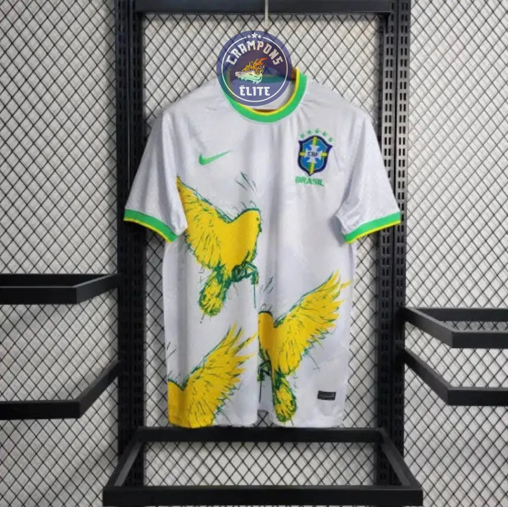 Brésil 2024 Concept