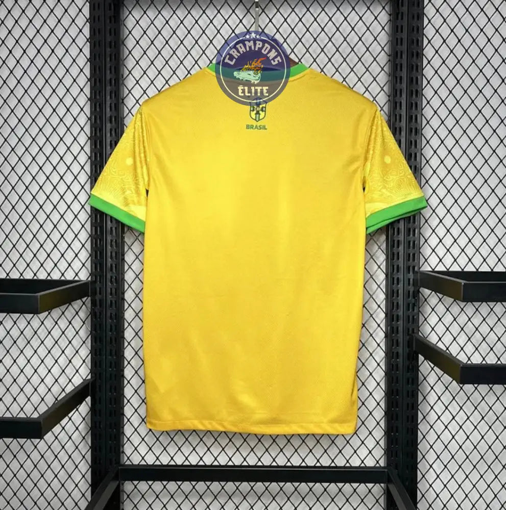 Brésil 2024 Concept