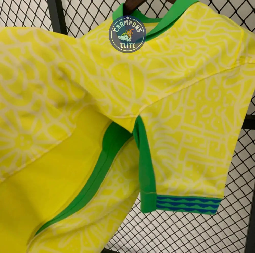 Brésil 2024 Domicile