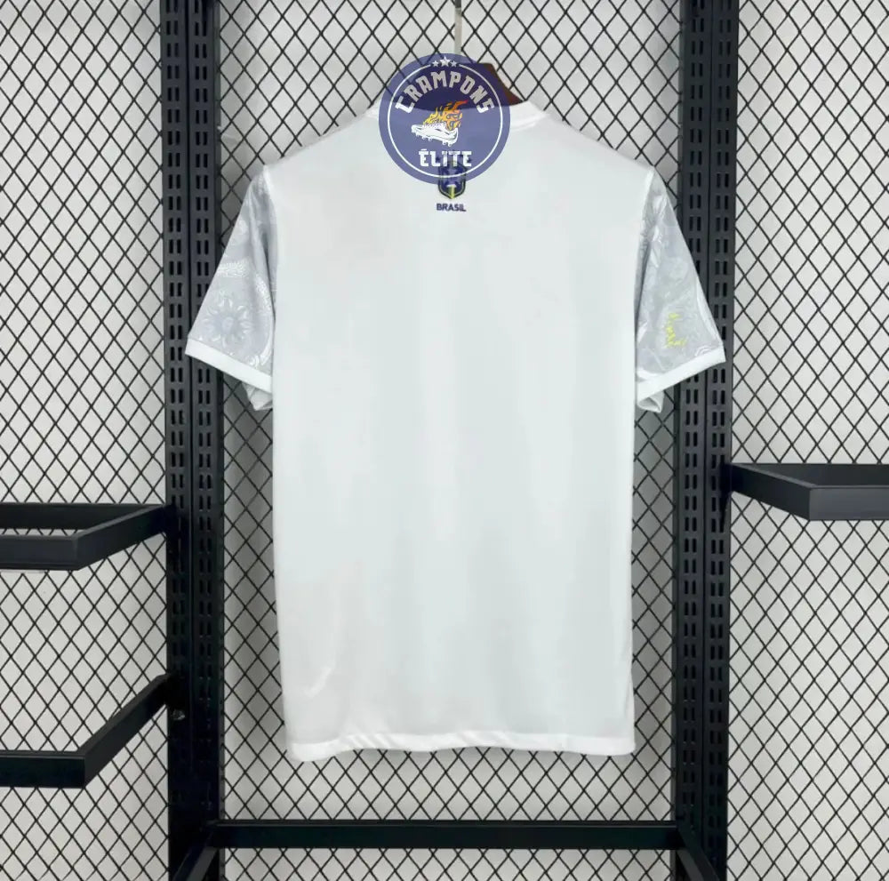 Brésil 2025 Concept