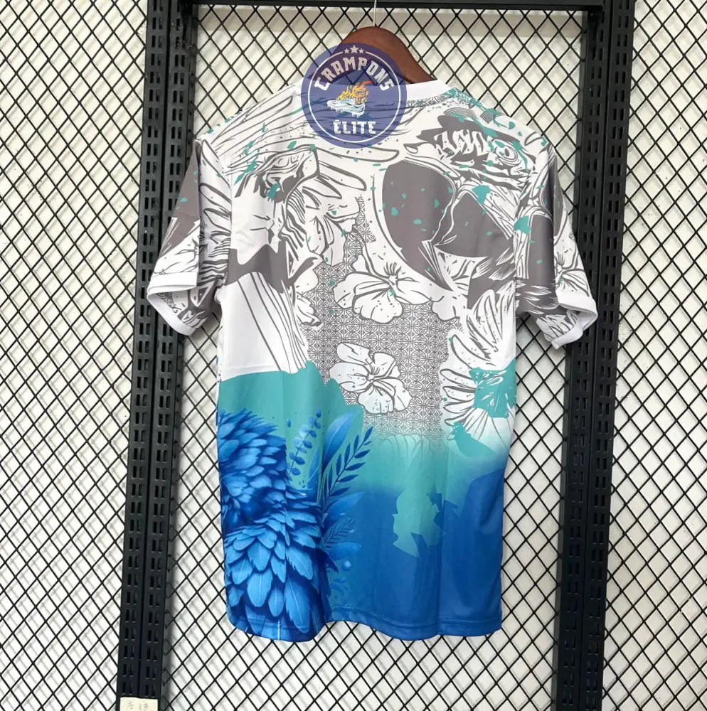 Image of Brésil 2025 Concept