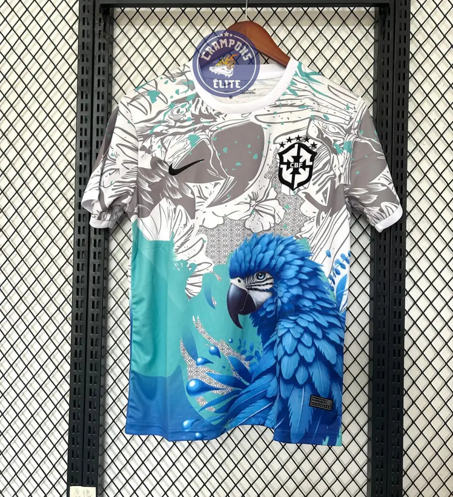 Brésil 2025 Concept