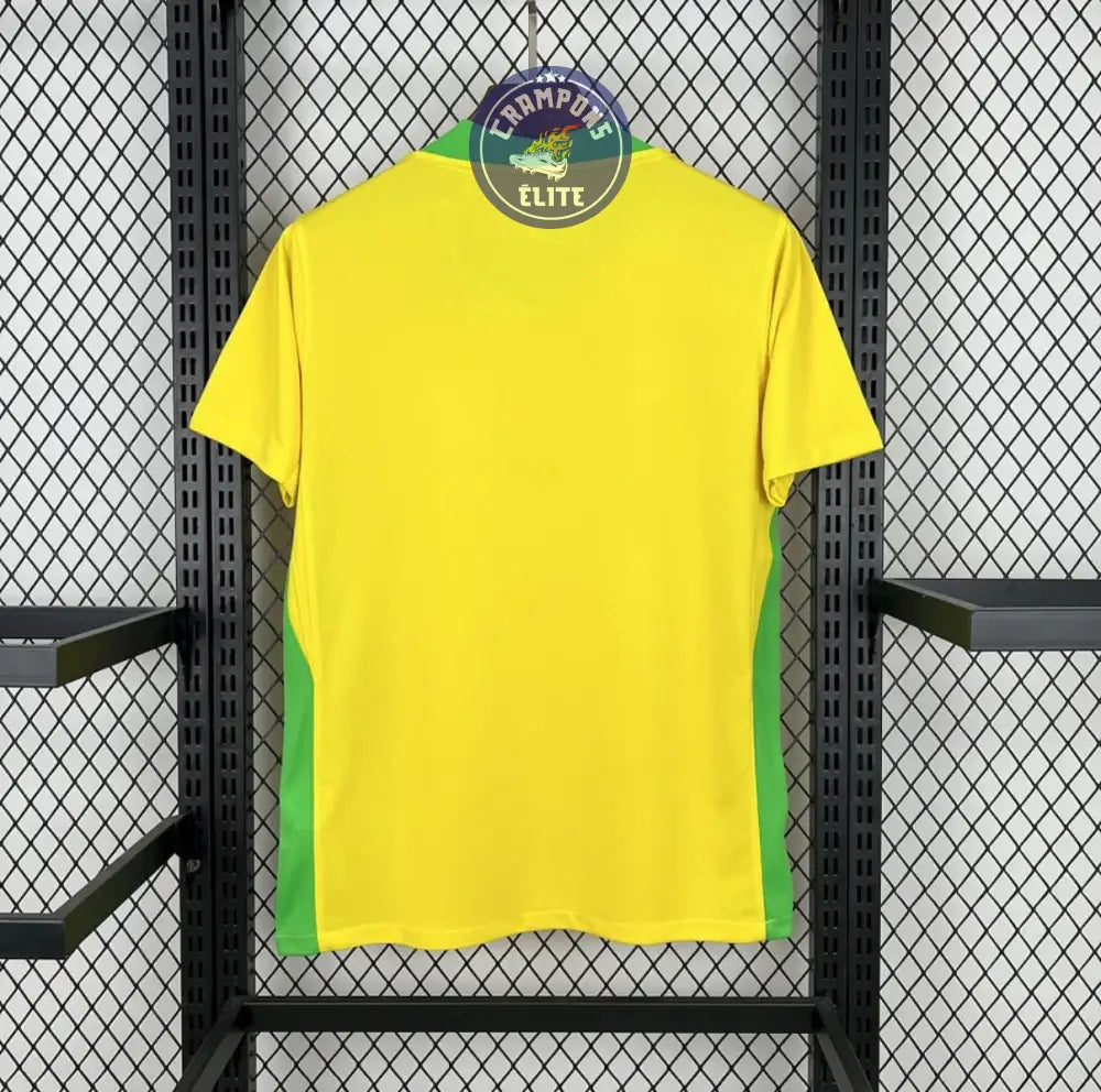 Brésil 2025 Domicile