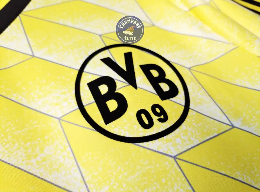 BVB Dortmund 1888/89 Domicile