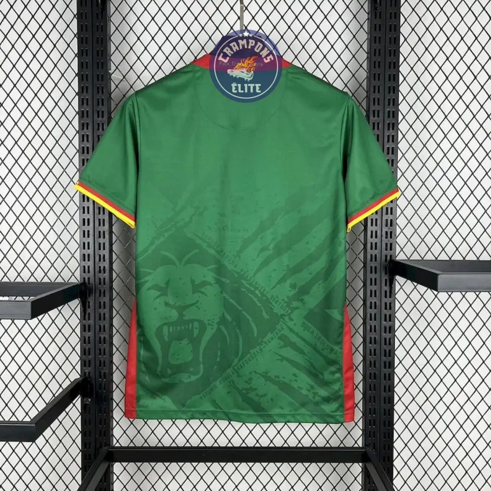 Cameroun 2025 Domicile