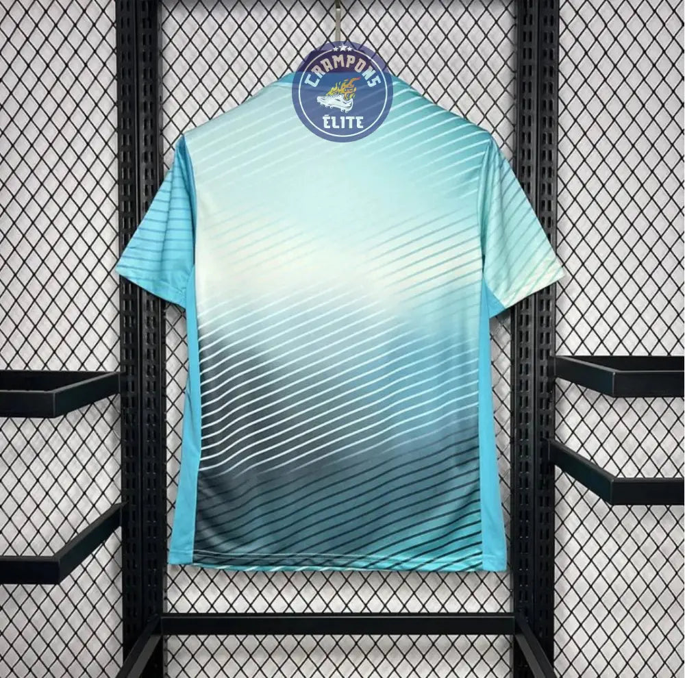 Corée du Sud 2024 Entraînement