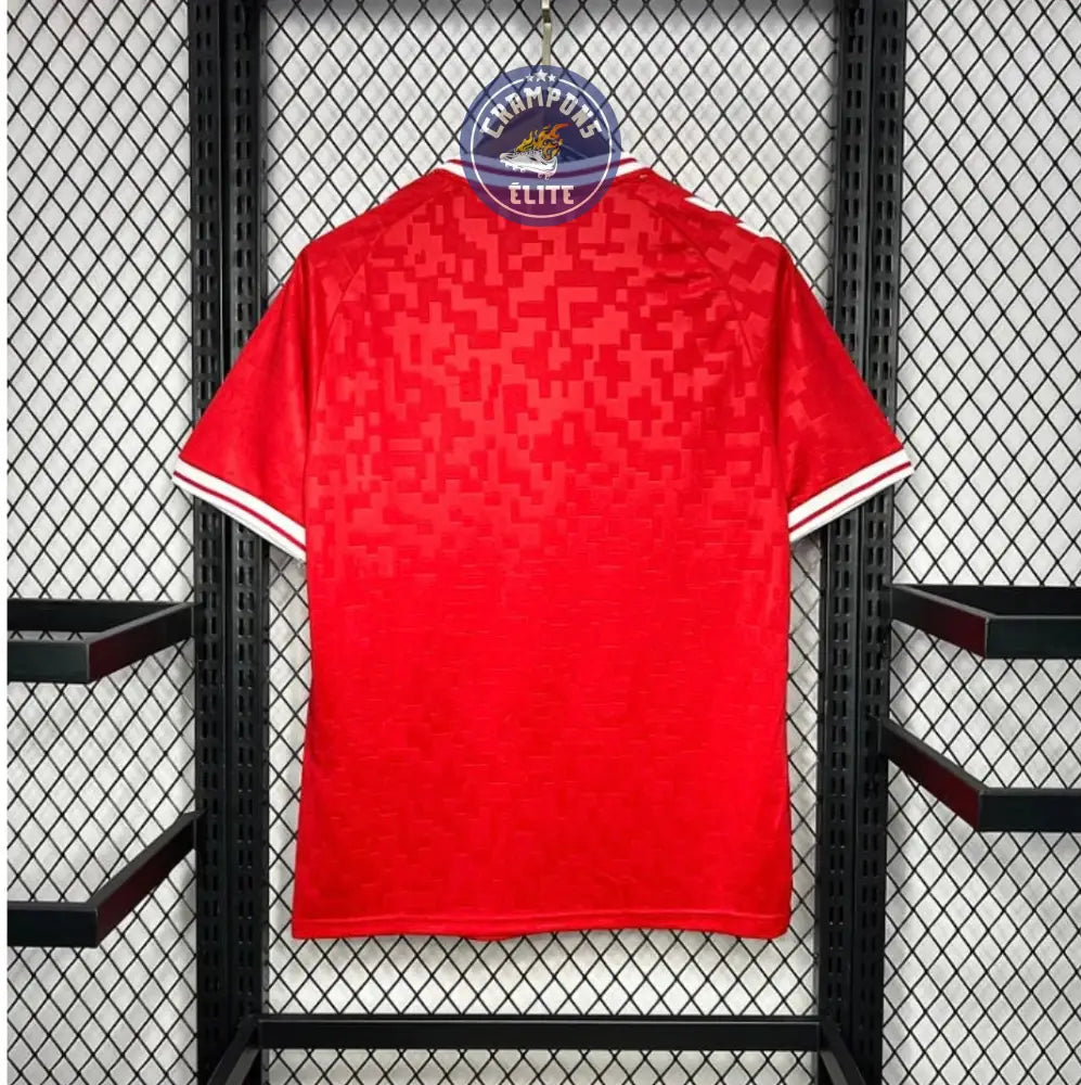 Image of Danemark 2024 Domicile