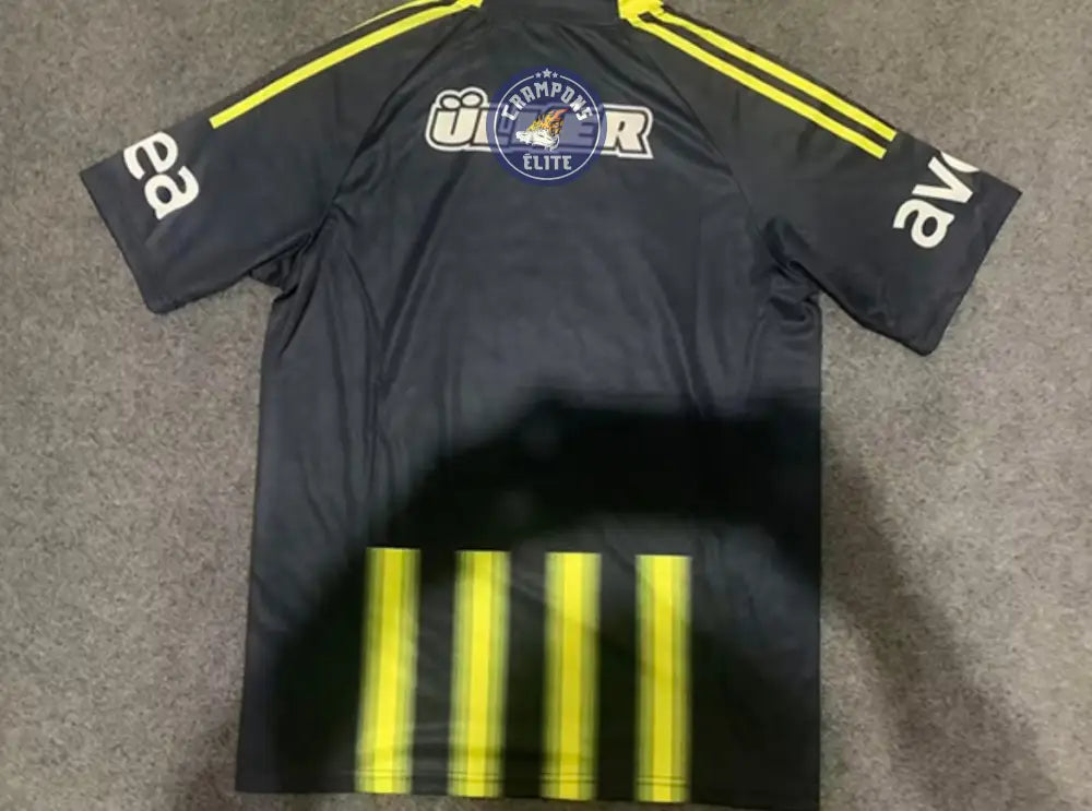Fenerbahçe 2013/14 Domicile