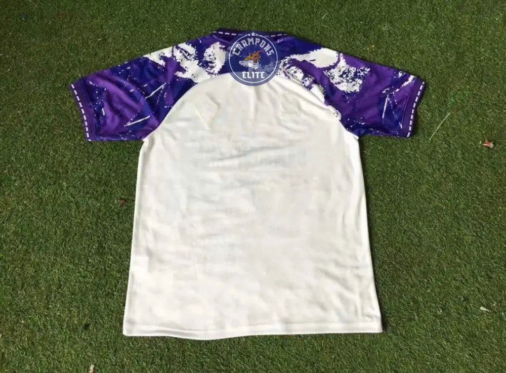 Image of Fiorentina 1994/95 Extérieur