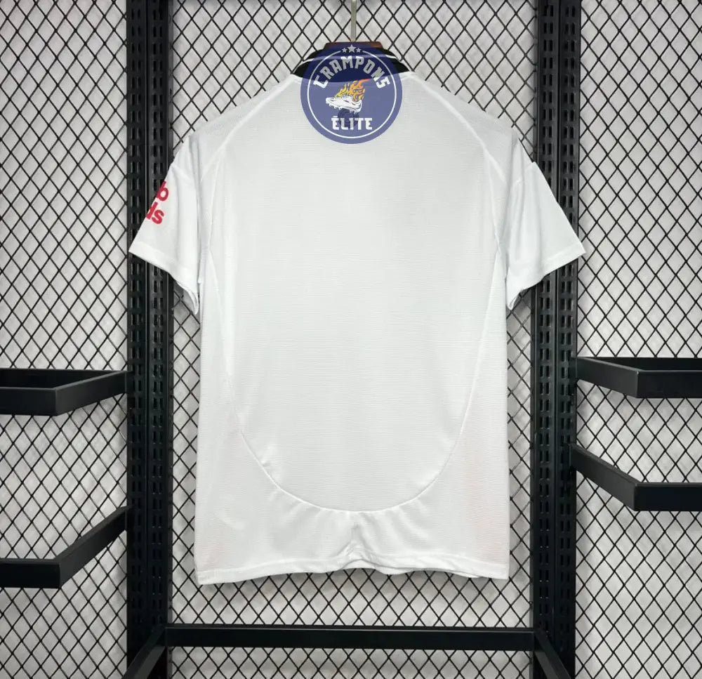 Fulham 2024/25 Domicile