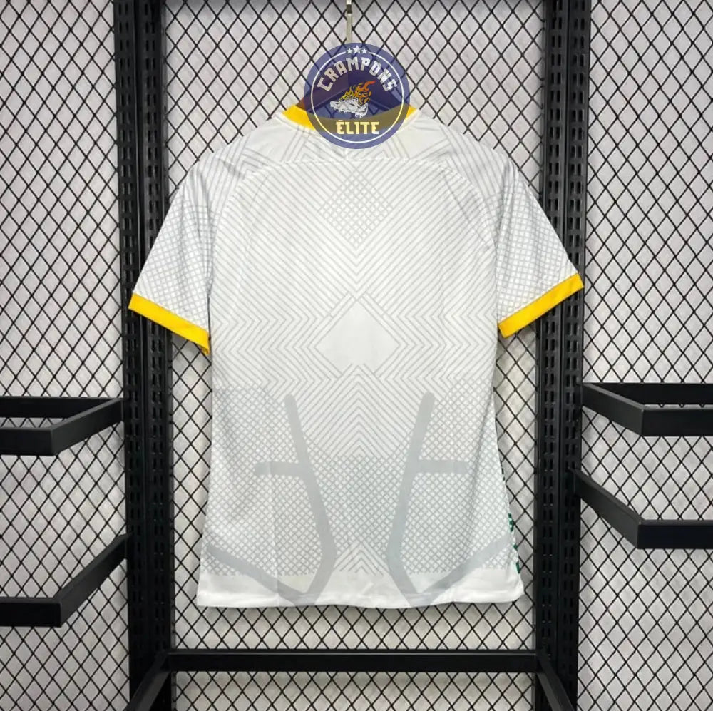 Inter Milan 2024/25 Concept