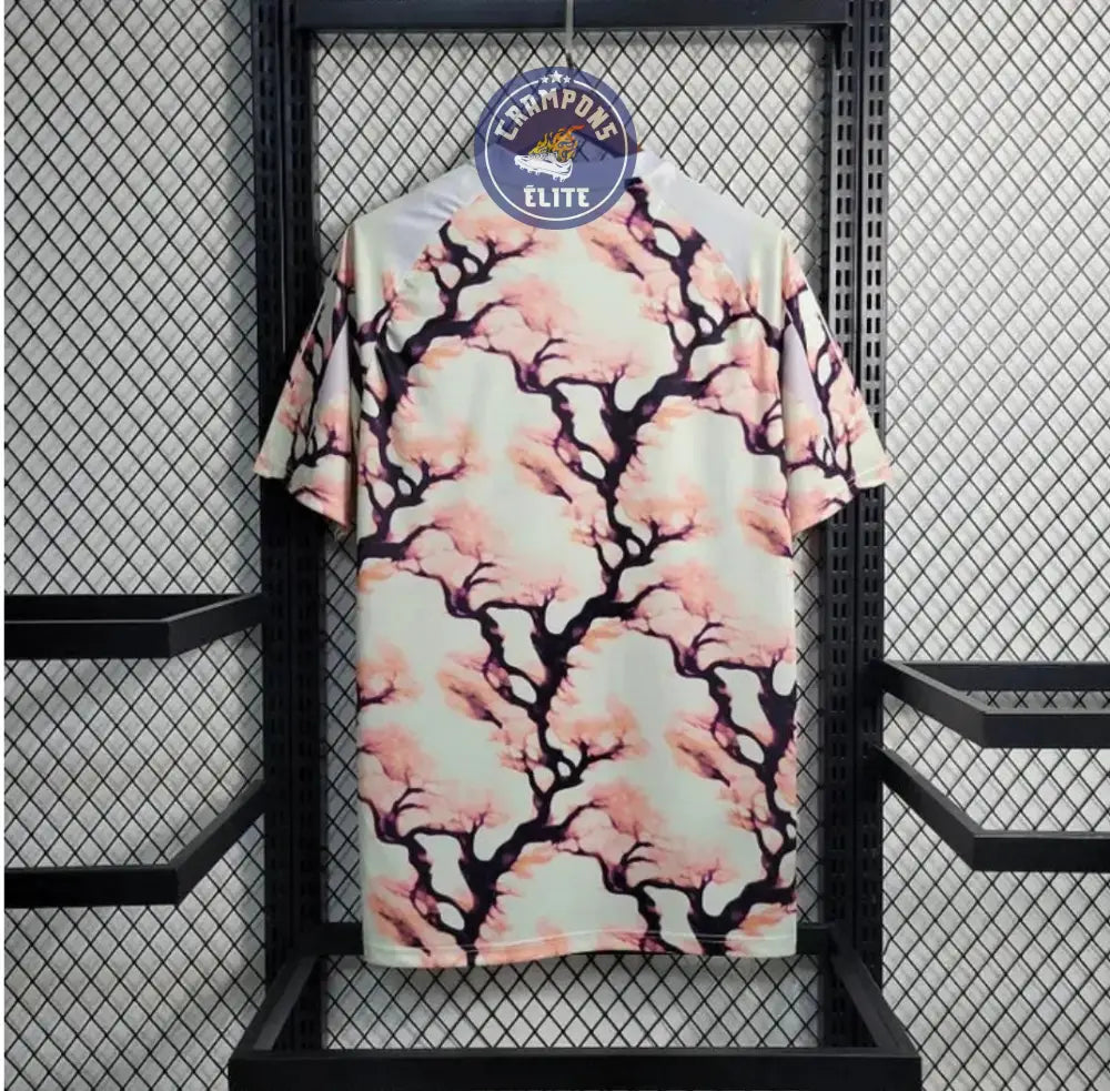 Image of Japon 2024 Concept