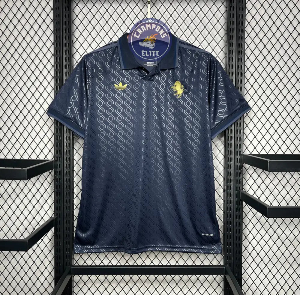 Image of Juventus 2024/25 Third