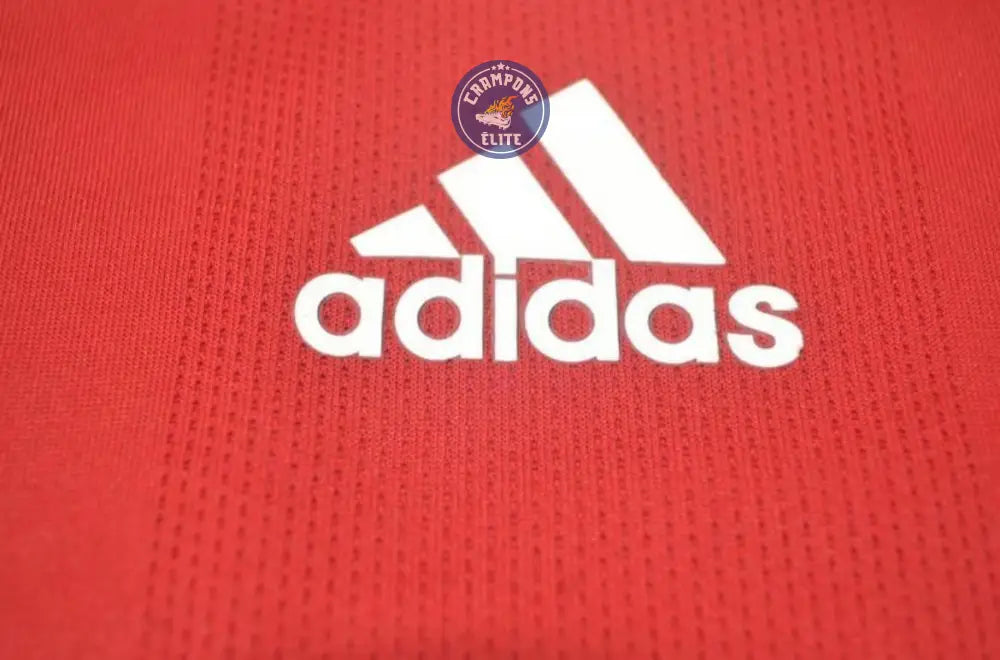 Liverpool 2008/09 Domicile