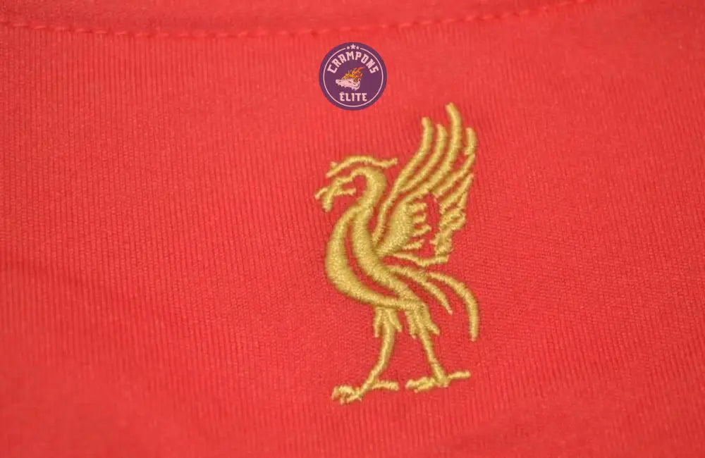 Liverpool 2008/09 Domicile