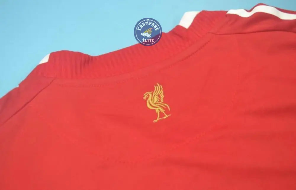 Image of Liverpool 2008/09 Domicile