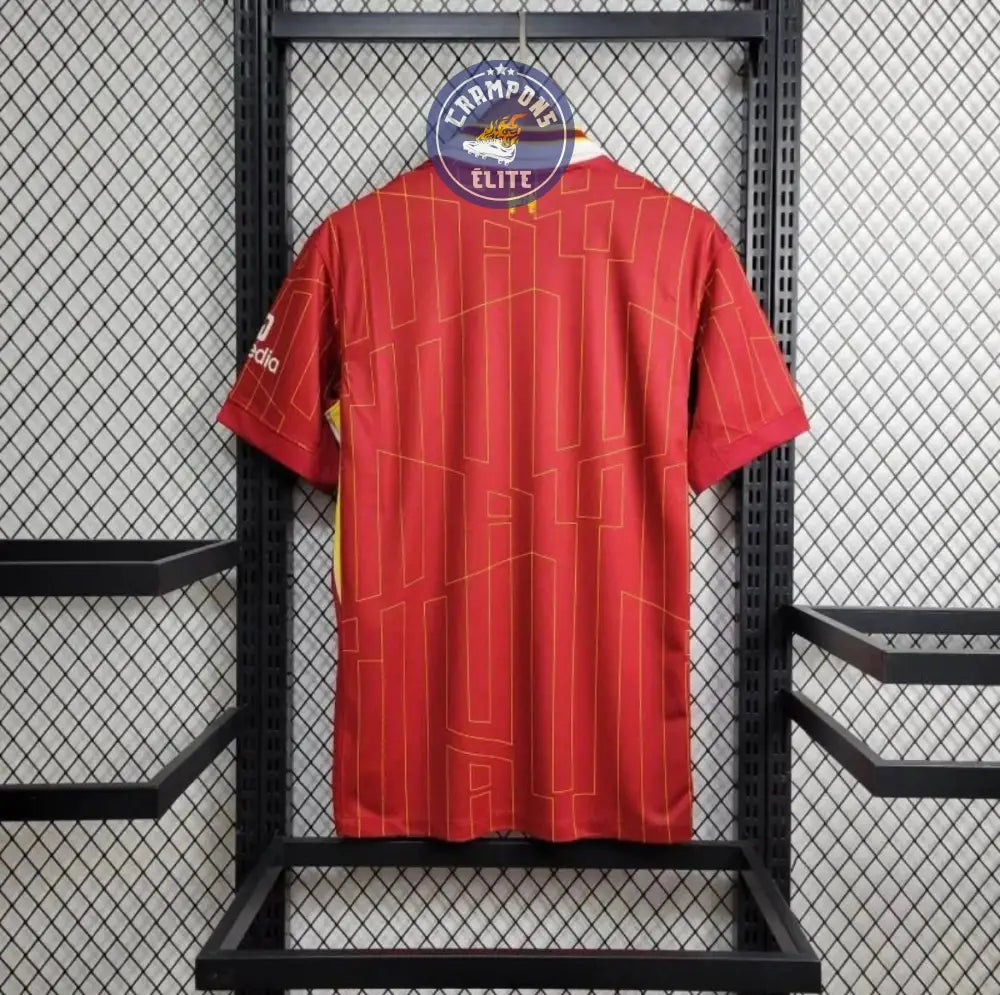 Liverpool 2024/25 Domicile