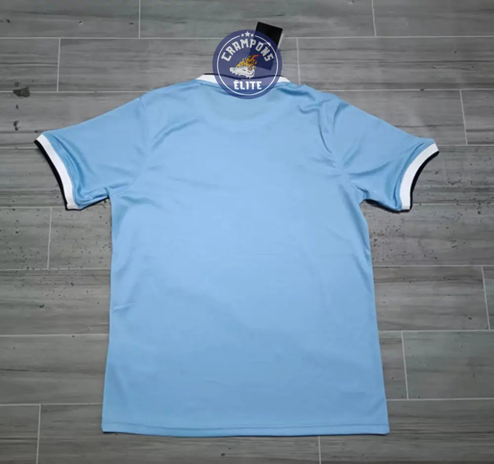 Manchester City 2013/14 Domicile