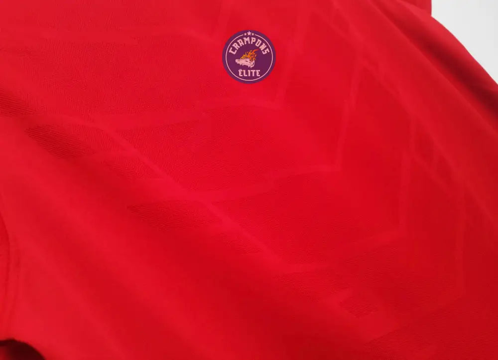 Manchester United 2010/11 Domicile