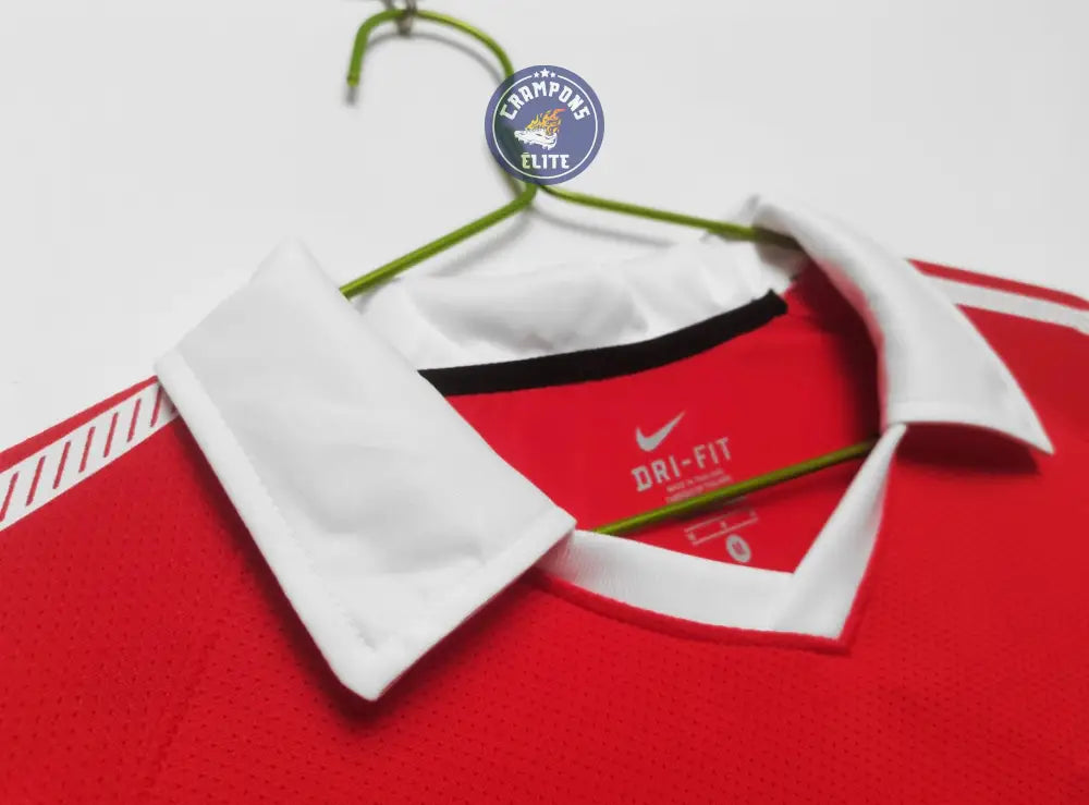 Manchester United 2010/11 Domicile