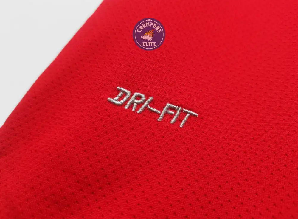 Manchester United 2010/11 Domicile