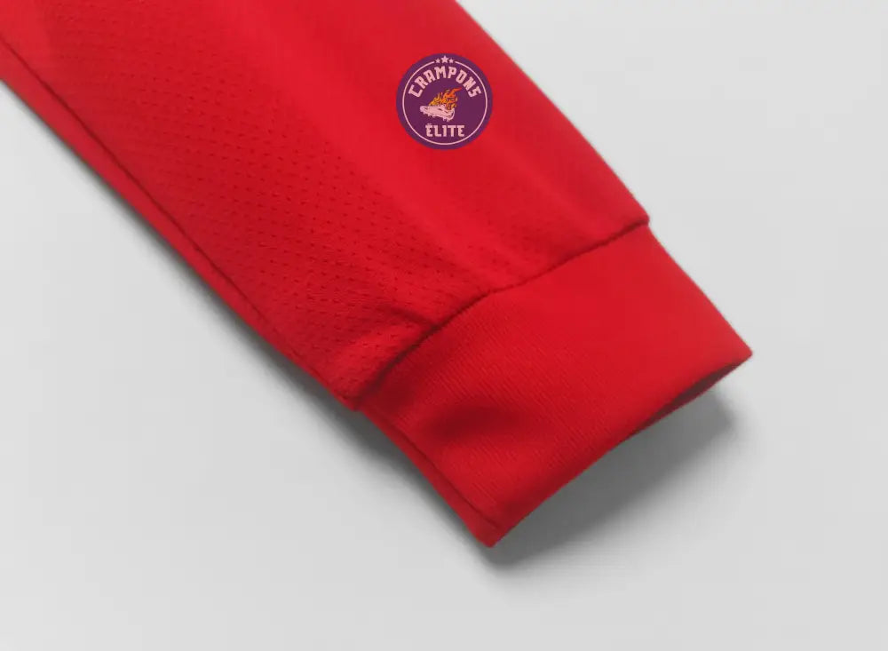 Image of Manchester United 2010/11 Domicile à manches longues