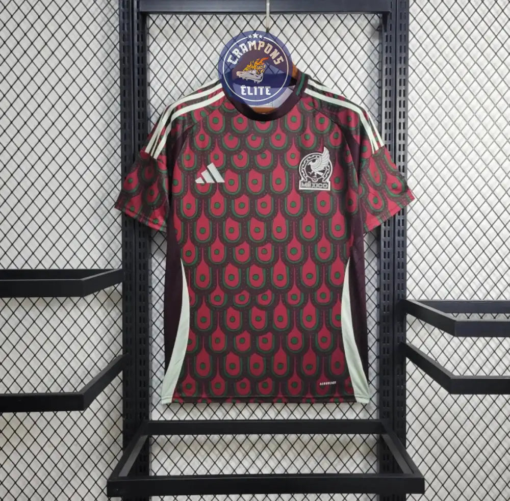 Image of Mexique 2024 Domicile