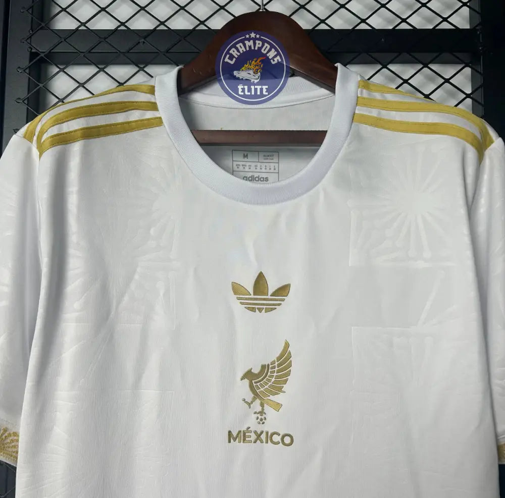 Image of Mexique 2025 Concept