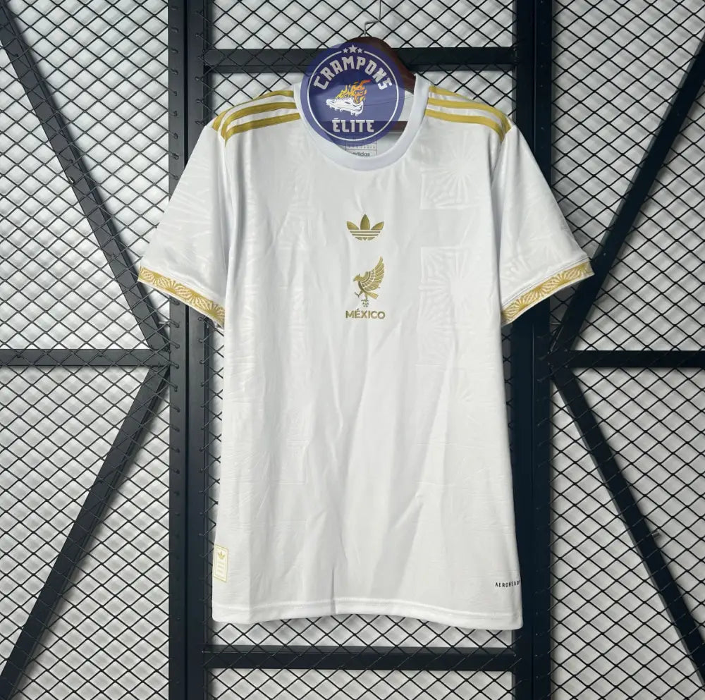 Mexique 2025 Concept