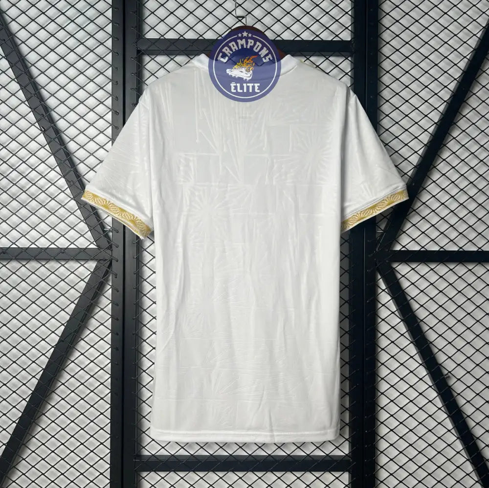 Mexique 2025 Concept