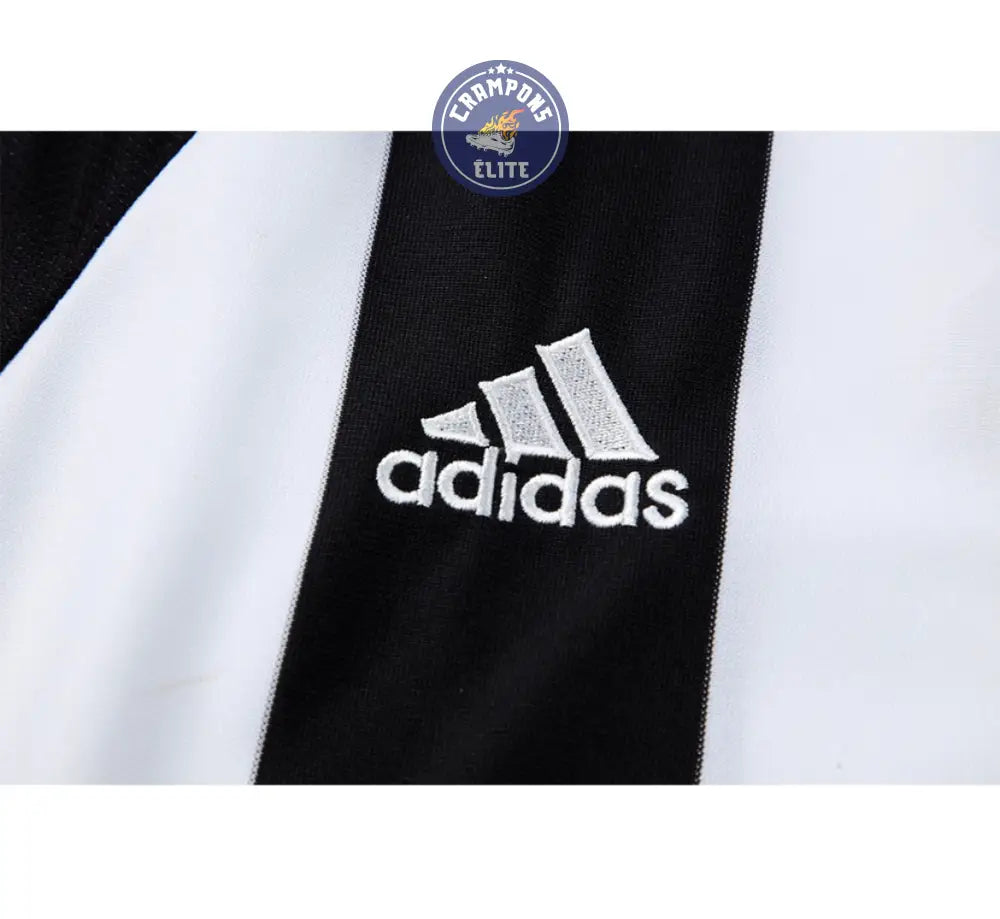 Image of Newcastle 2004/05 Domicile