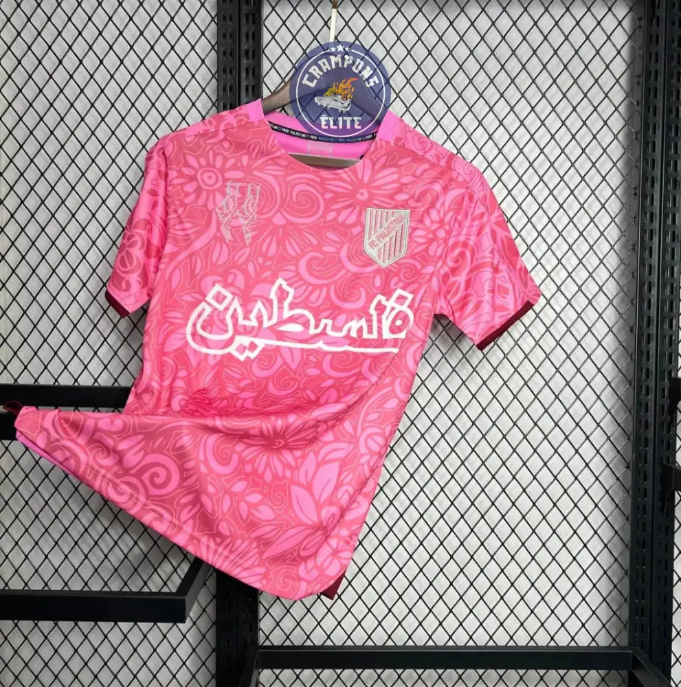 Image of Palestine 2024 Concept