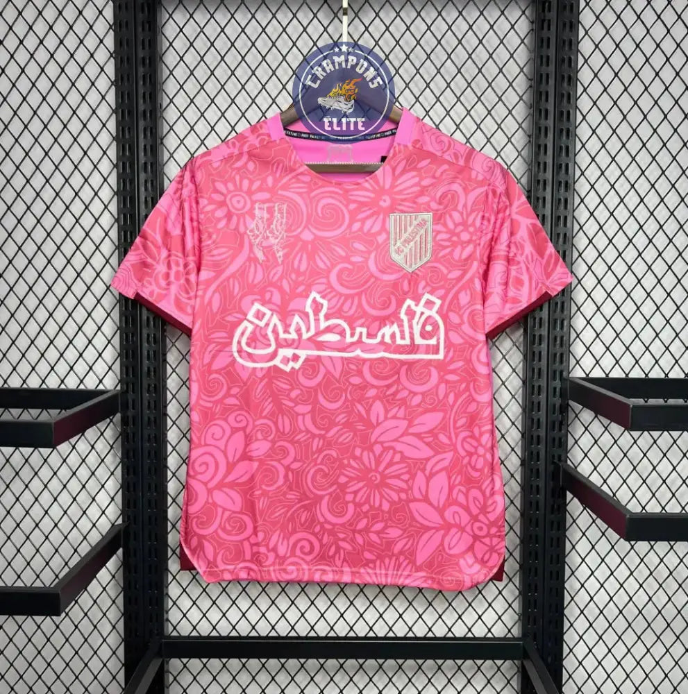 Palestine 2024 Concept