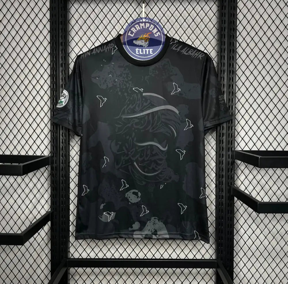 Palestine 2025 Concept