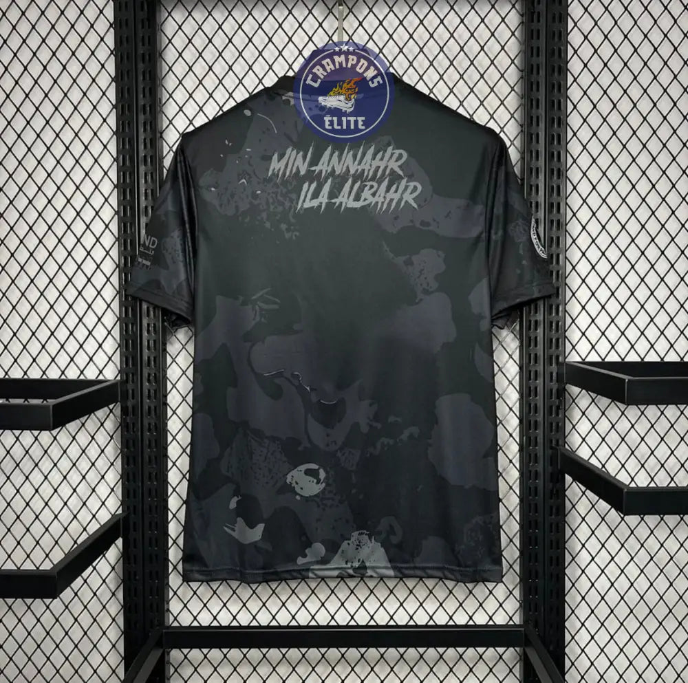 Image of Palestine 2025 Concept