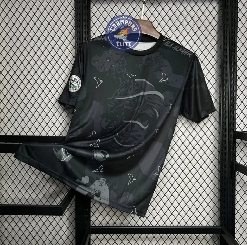 Palestine 2025 Concept