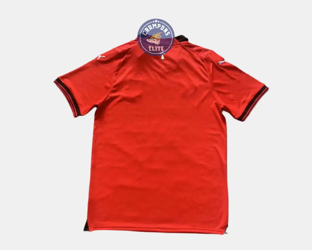 Stade Rennais 23/24 Domicile