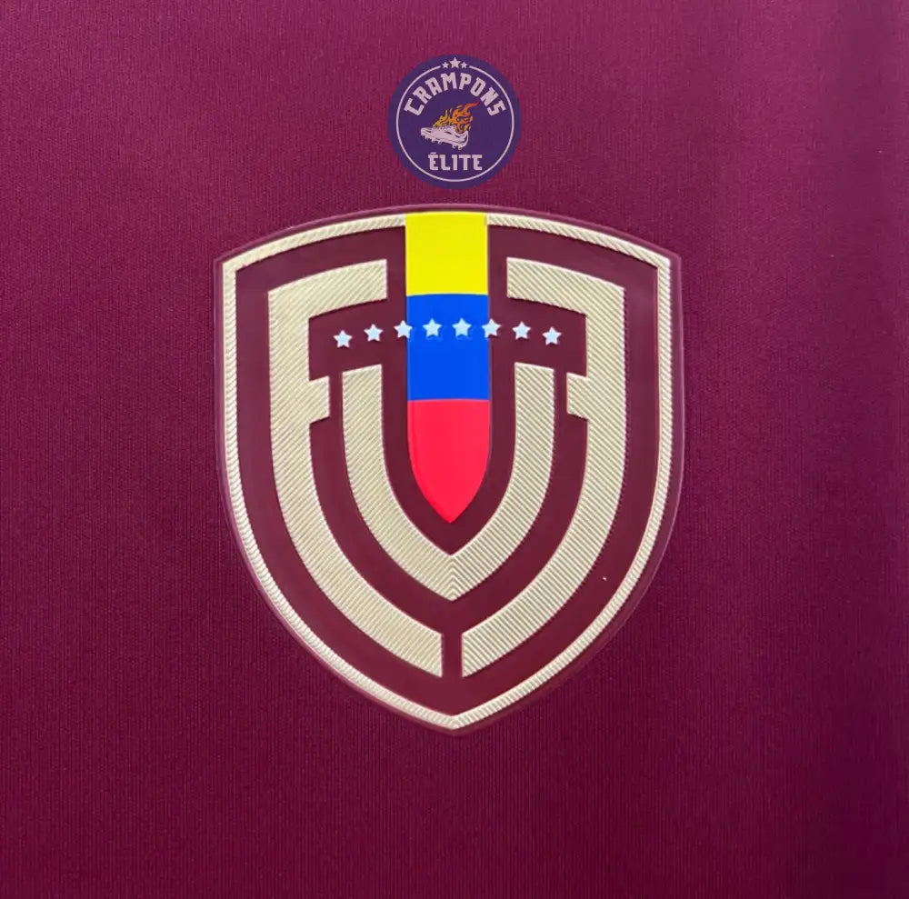 Venezuela 2024 Domicile