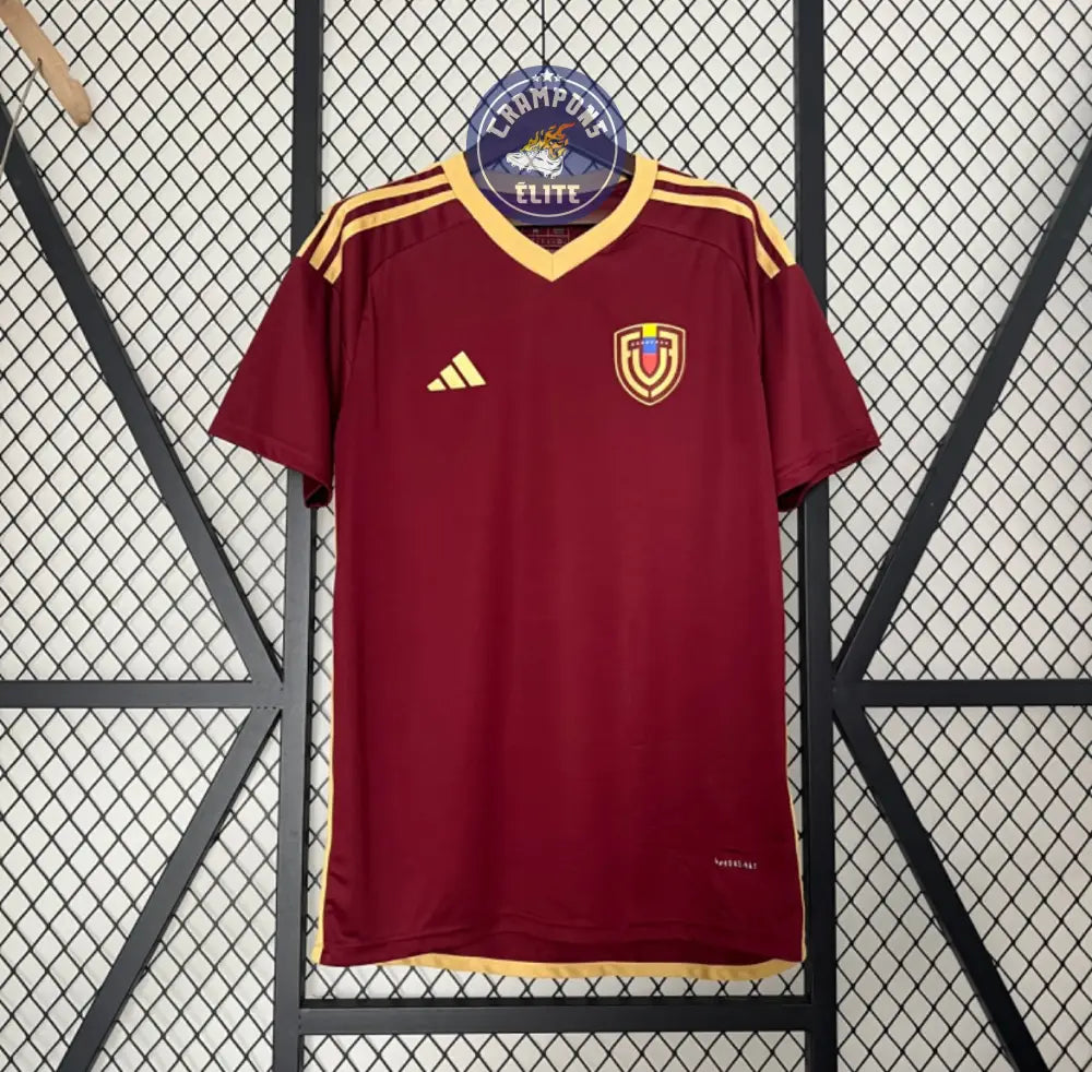 Image of Venezuela 2024 Domicile