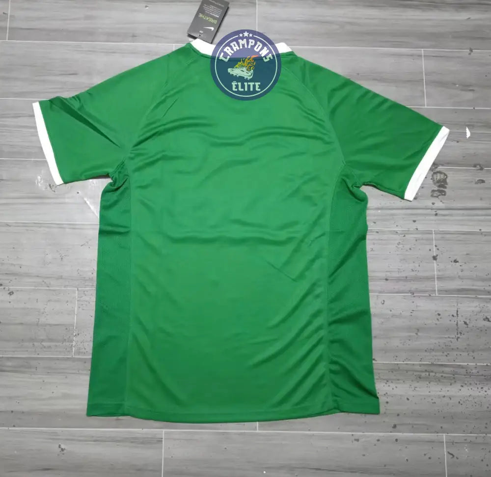 VfL Wolfsburg 2008/09 Domicile